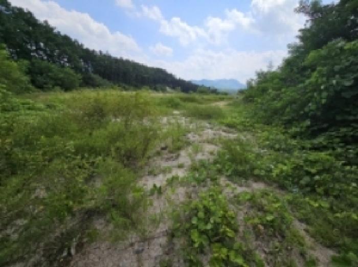충청북도 제천시 흑석동 172-19 외 13필지 창고용지 경매 사진 15