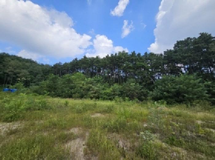 충청북도 제천시 흑석동 172-19 외 13필지 창고용지 경매 사진 26