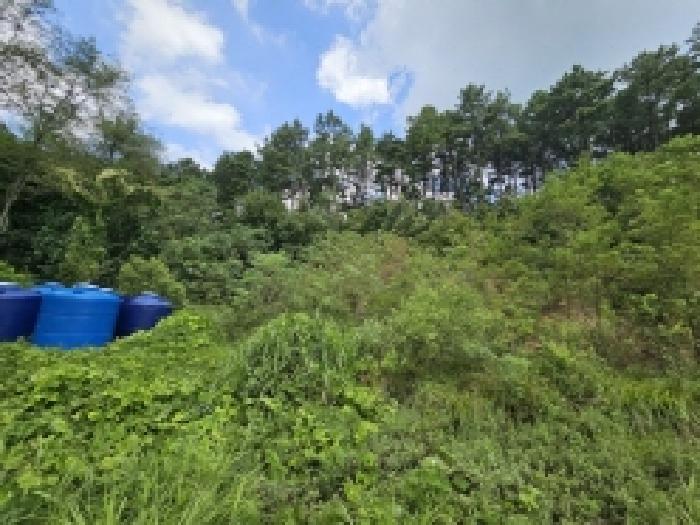 충청북도 제천시 흑석동 172-19 외 13필지 창고용지 경매 사진 30
