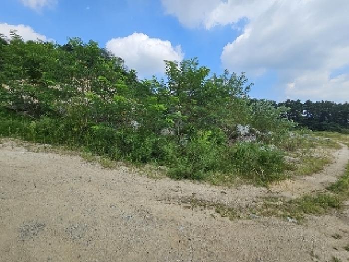 충청북도 제천시 흑석동 172-19 외 13필지 창고용지 경매 사진 4