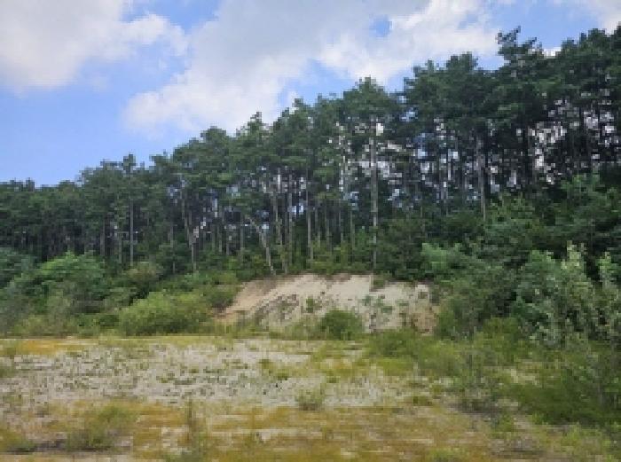 충청북도 제천시 흑석동 172-19 외 13필지 창고용지 경매 사진 32