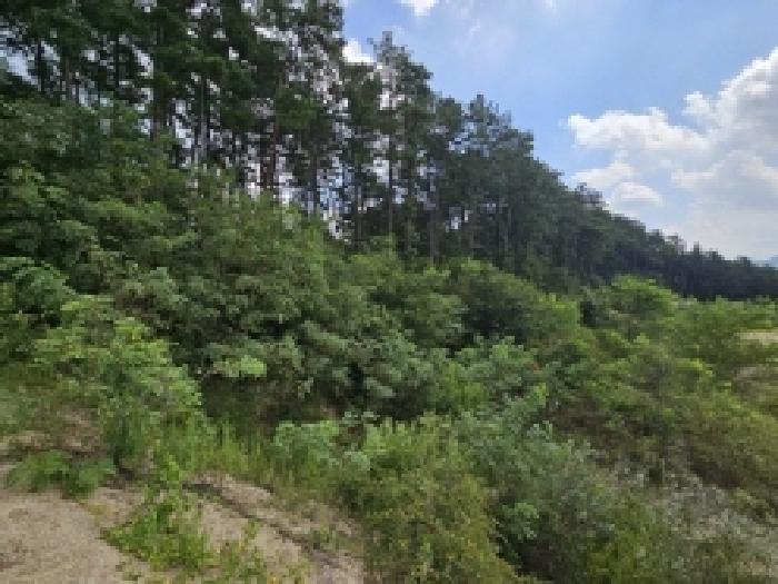 충청북도 제천시 흑석동 172-19 외 13필지 창고용지 경매 사진 34