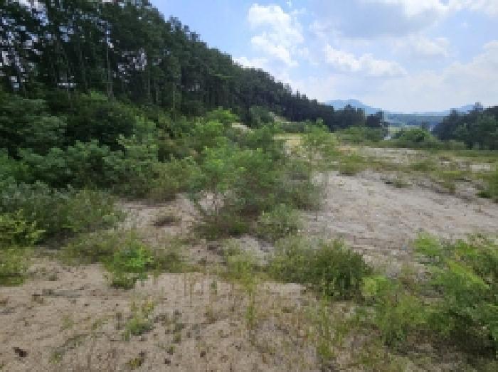 충청북도 제천시 흑석동 172-19 외 13필지 창고용지 경매 사진 35