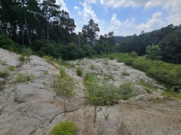 충청북도 제천시 흑석동 172-19 외 13필지 창고용지 경매 사진 37