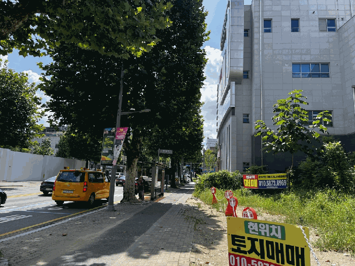 대전광역시 중구 대흥동 888-42 외 1필지 대지 경매 사진 12