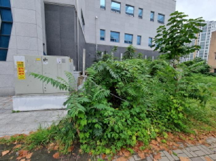 대전광역시 중구 대흥동 888-42 외 1필지 대지 경매 사진 6