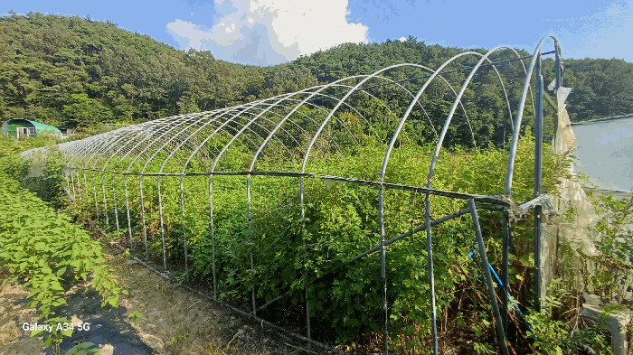대구광역시 북구 도남동 196-2 외 2필지 답 경매 사진 18