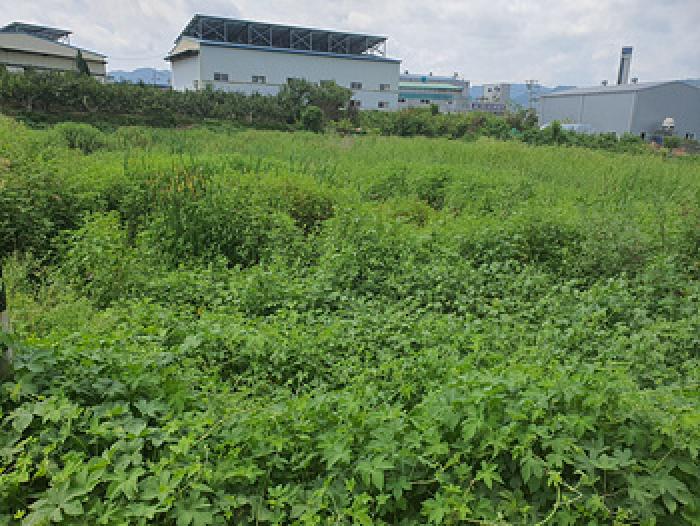 경상남도 김해시 진례면 담안리 446-2 전답 경매 사진 1