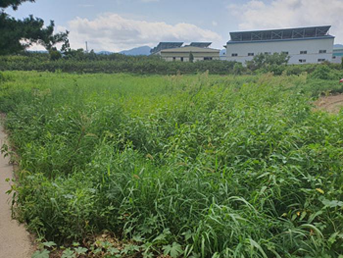 경상남도 김해시 진례면 담안리 446-2 전답 경매 사진 2