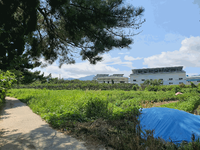 경상남도 김해시 진례면 담안리 446-2 전답 경매 사진 3