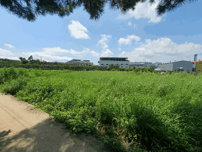 경상남도 김해시 진례면 담안리 446-2 전답 경매 사진 4