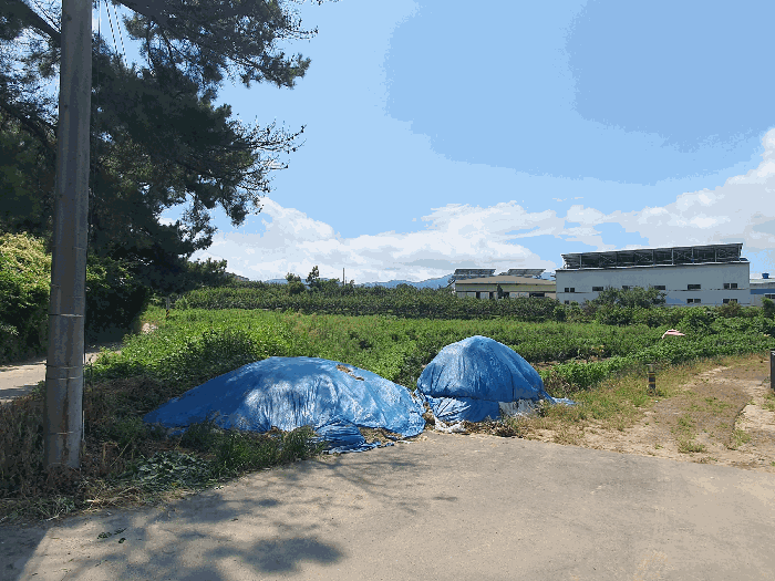 경상남도 김해시 진례면 담안리 446-2 전답 경매 사진 5