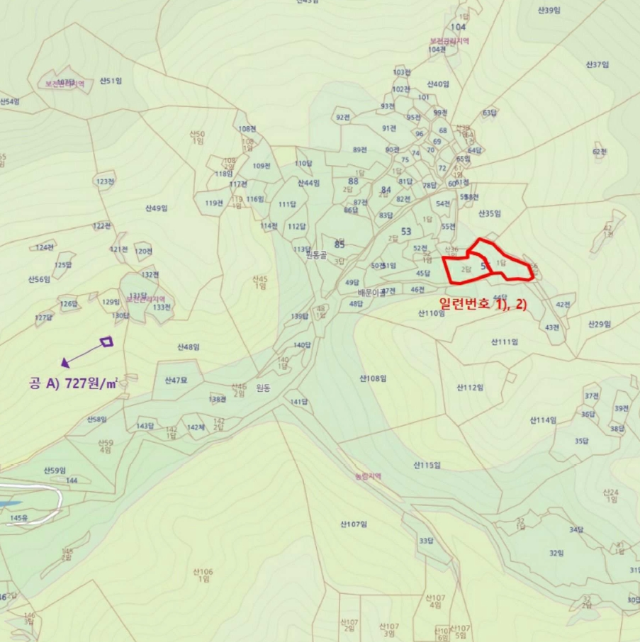 전라남도 곡성군 목사동면 용봉리 56-1 외 1필지 답 경매 사진 6