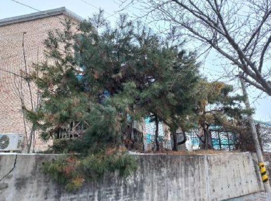 전북특별자치도 남원시 노암동 301-12 외 1필지 단독주택 경매 사진 2