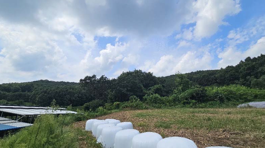 충청북도 충주시 주덕읍 삼청리 산92 임야 경매 사진 24