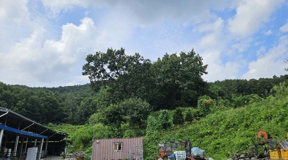 충청북도 충주시 주덕읍 삼청리 산92 임야 경매 사진 25