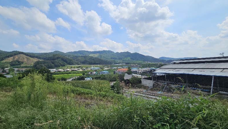 충청북도 충주시 주덕읍 삼청리 산92 임야 경매 사진 26