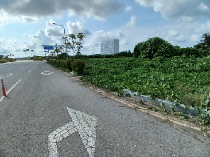 충청남도 당진시 석문면 장고항리 1343 기타토지 경매 사진 15