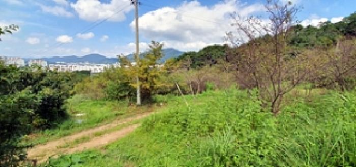 경상남도 창원시 진해구 자은동 470 과수원 경매 사진 10