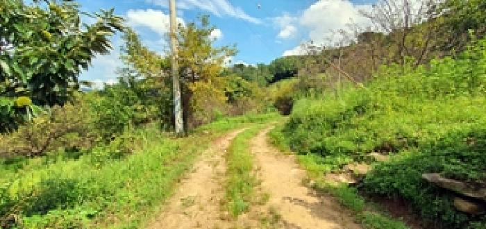 경상남도 창원시 진해구 자은동 470 과수원 경매 사진 11
