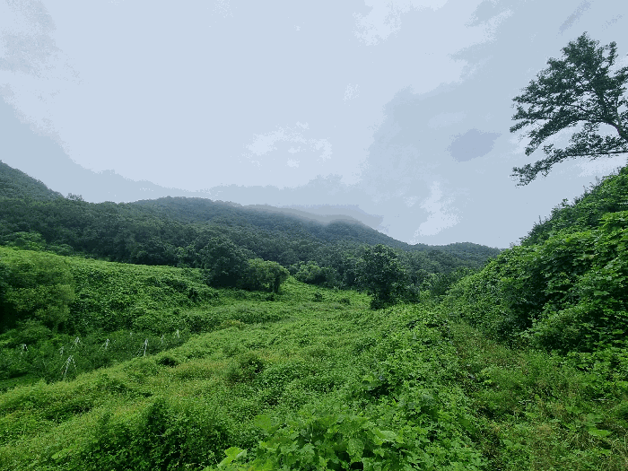 충청북도 충주시 앙성면 목미리 201 답 경매 사진 17