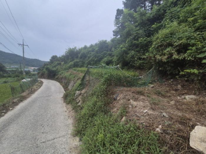 세종특별자치시 부강면 문곡리 777 외 2필지 답 경매 사진 2