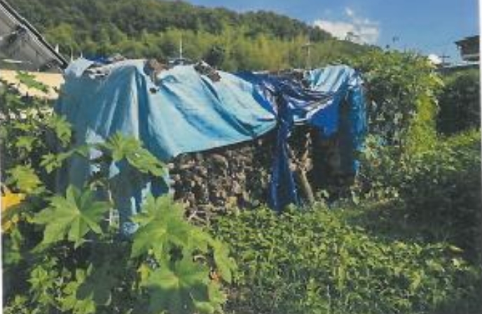 경상북도 김천시 남면 송곡리 110 대지 경매 사진 20