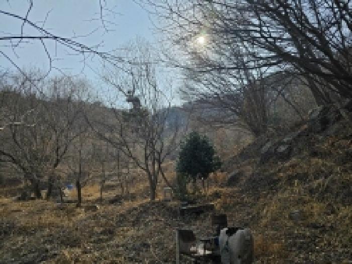 전라남도 순천시 삼거동 산266-1 임야 경매 사진 67
