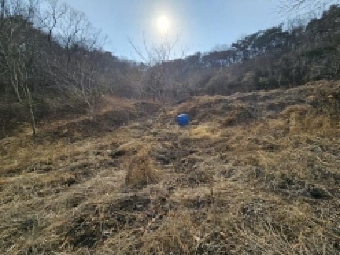 전라남도 순천시 삼거동 산266-1 임야 경매 사진 69