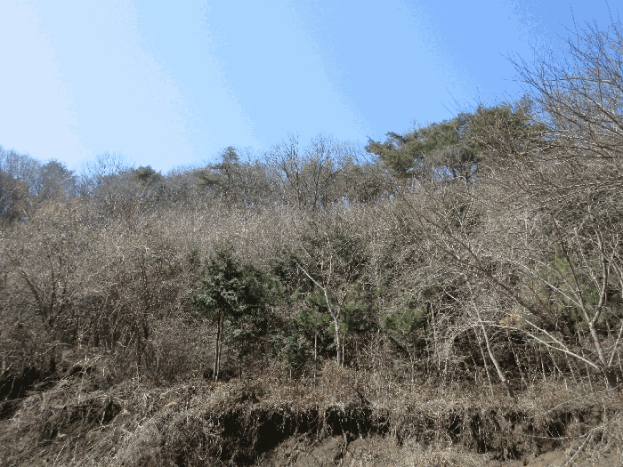 전라남도 순천시 삼거동 산266-1 임야 경매 사진 72