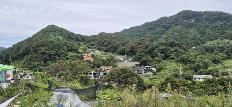경기도 가평군 청평면 상천리 산82-1 임야 경매 사진 13