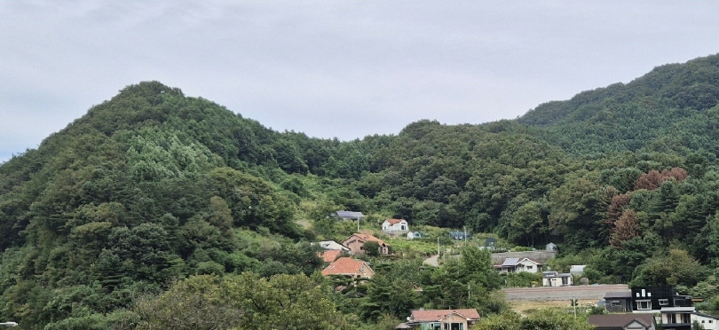 경기도 가평군 청평면 상천리 산82-1 임야 경매 사진 14