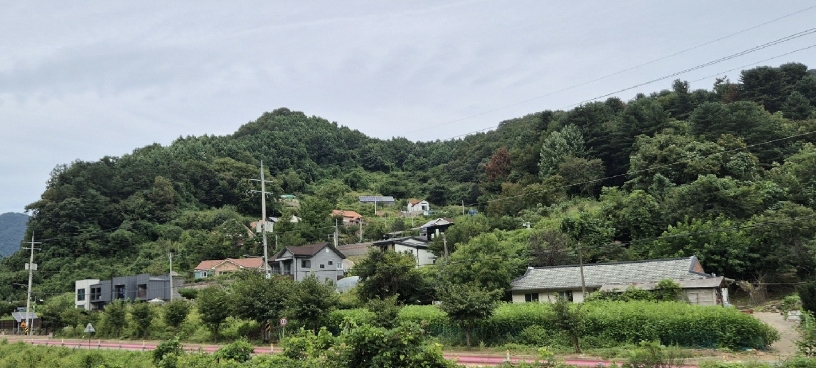 경기도 가평군 청평면 상천리 산82-1 임야 경매 사진 15