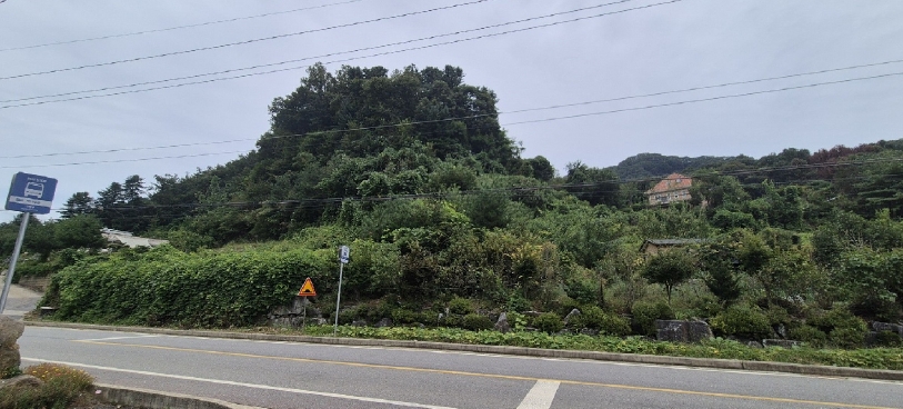 경기도 가평군 청평면 상천리 산82-1 임야 경매 사진 22