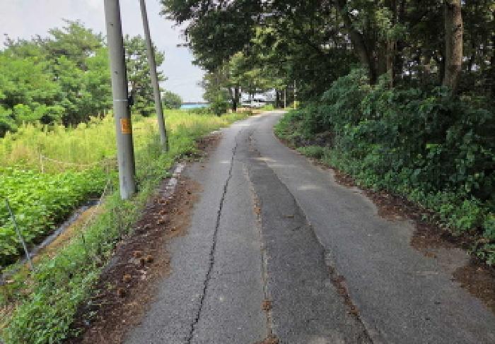 충청남도 아산시 선장면 궁평리 145-9 전 경매 사진 21