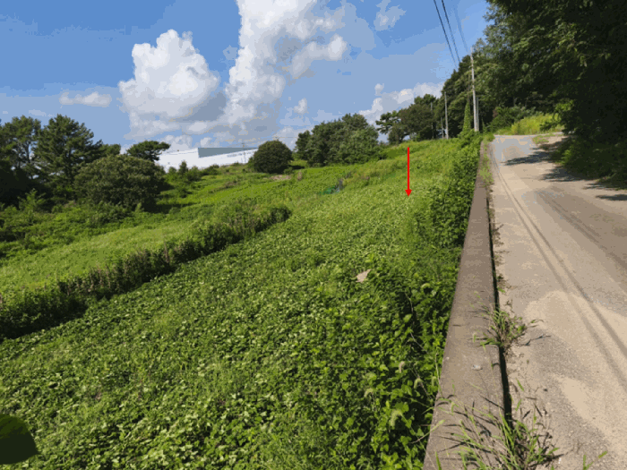 충청남도 아산시 선장면 궁평리 145-9 전 경매 사진 36