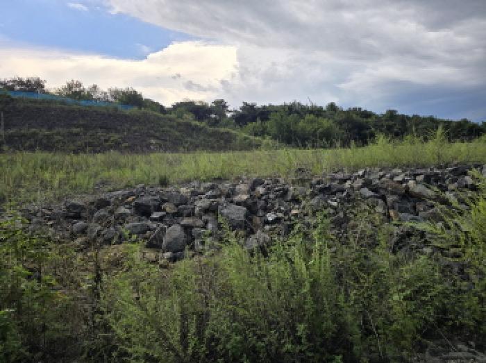 경상북도 영천시 북안면 도천리 산8-1 대지,임야,전답 경매 사진 8