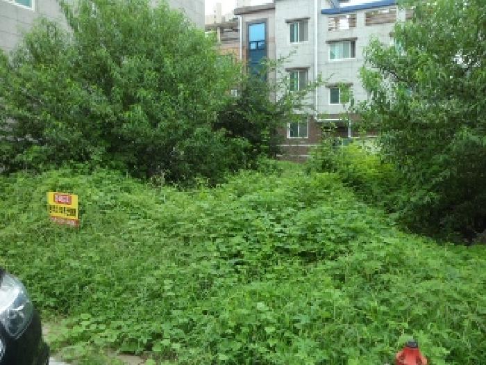 대구광역시 달성군 유가읍 봉리 589-3 대지 경매 사진 2