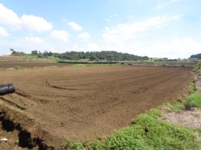 제주특별자치도 서귀포시 대정읍 상모리 1646-1 전 경매 사진 13