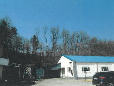 충청북도 증평군 도안면 송정리 805 임야 경매 사진 35