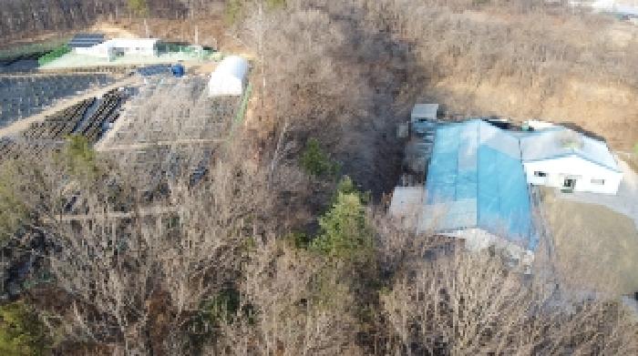 충청북도 증평군 도안면 송정리 805 임야 경매 사진 38