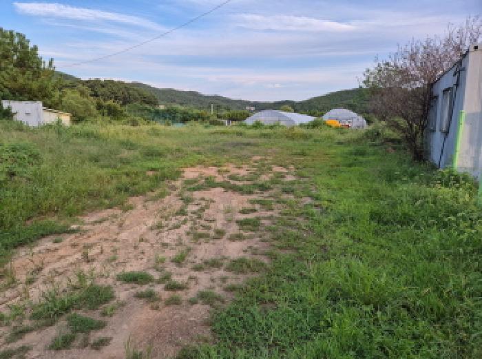 인천광역시 옹진군 영흥면 내리 1626-24 외 2필지 근린생활시설 경매 사진 1