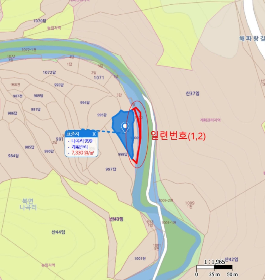 경상북도 울진군 북면 나곡리 1000 외 1필지 임야 경매 사진 5