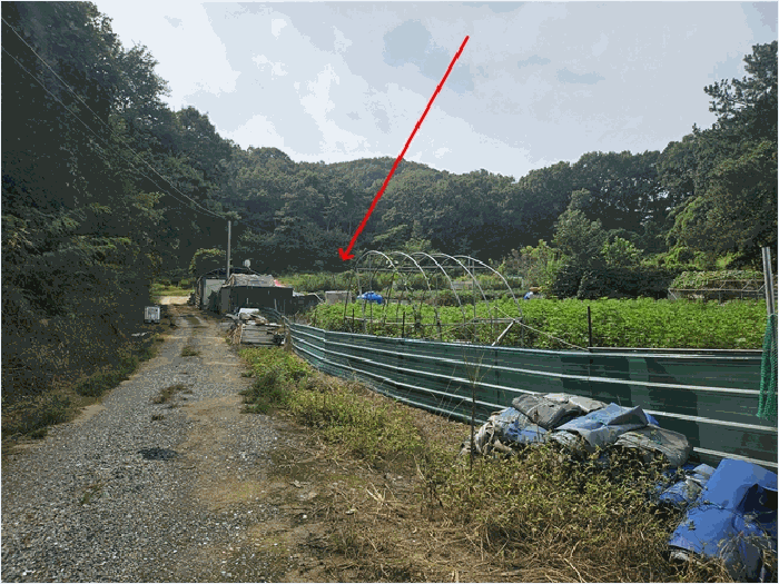 경기도 안성시 고삼면 봉산리 338-2 전 경매 사진 40