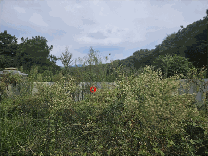 경기도 안성시 고삼면 봉산리 338-2 전 경매 사진 42