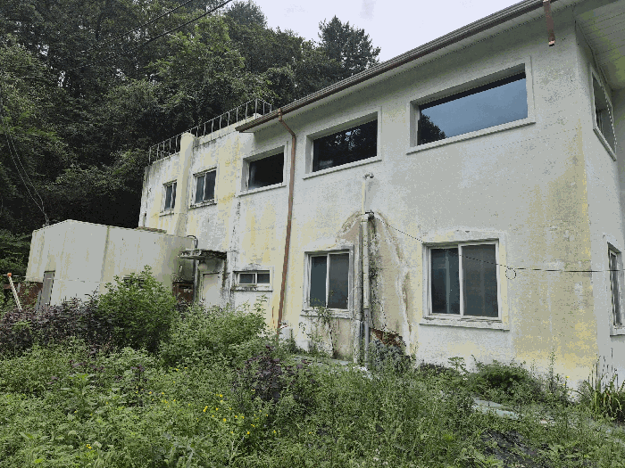 강원특별자치도 홍천군 화촌면 장평리 918 상가 경매 사진 23