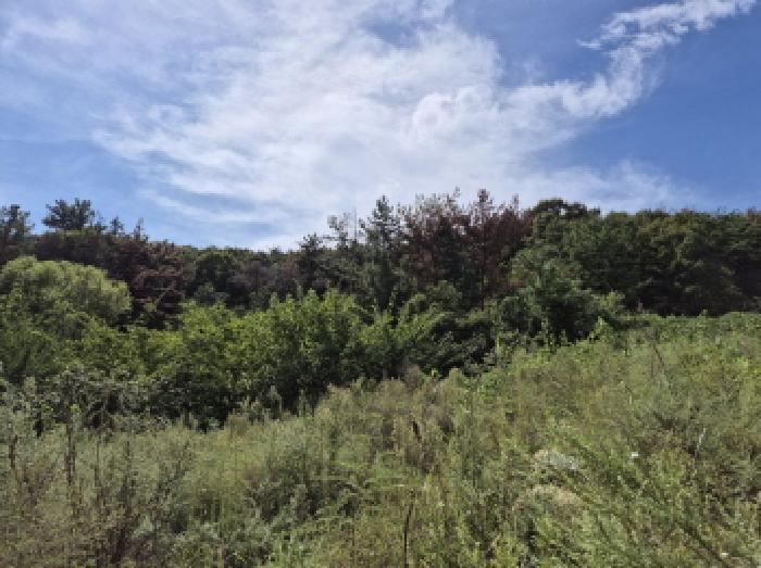 울산광역시 북구 천곡동 957-5 답 경매 사진 8