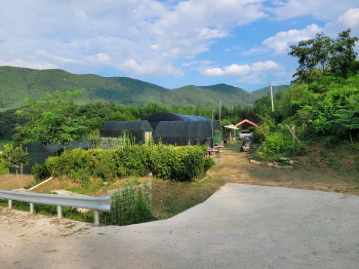 대구광역시 달성군 가창면 단산리 785 전 경매 사진 21