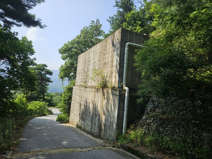 경기도 가평군 청평면 대성리 321-177 임야 경매 사진 13