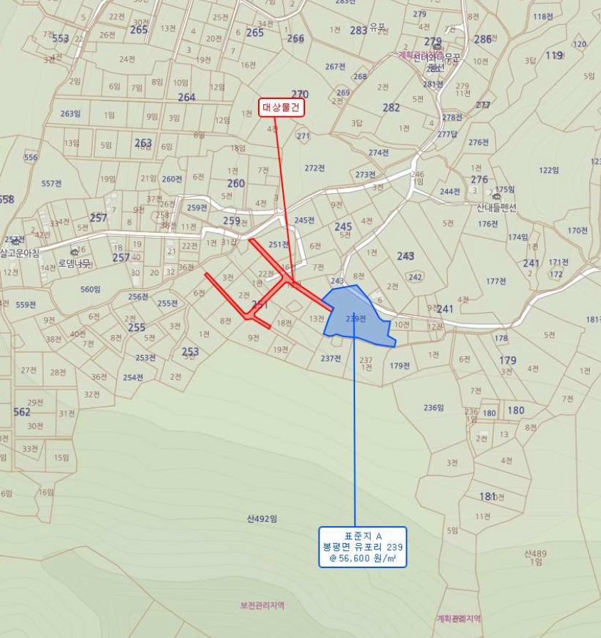 강원특별자치도 평창군 봉평면 유포리 251-15 전 경매 사진 21